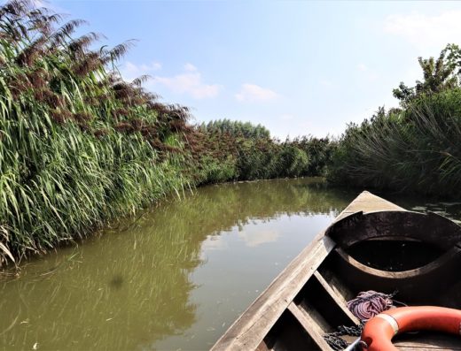 Balade en bateau sur la Côte d'Opale