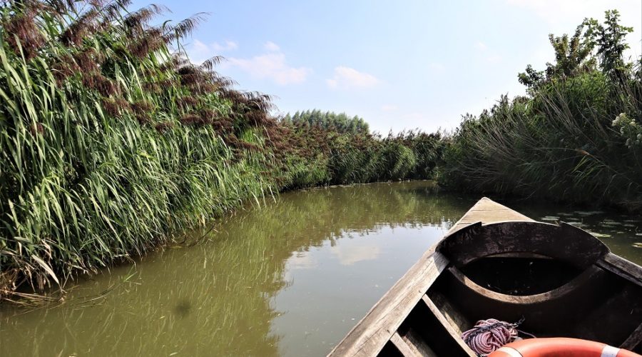 Balade en bateau sur la Côte d'Opale